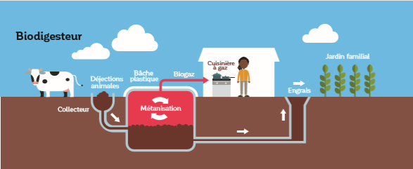 Le biodigesteur et la voûte nubienne, deux outils pour un modèle ...