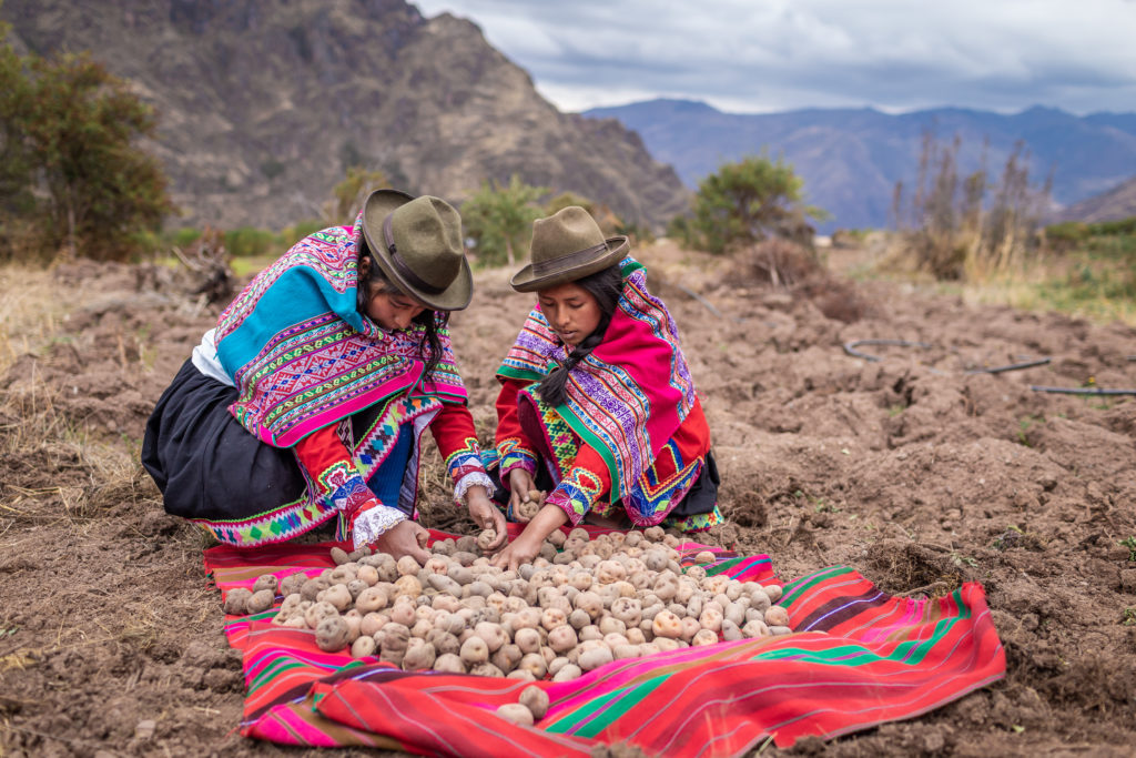 MG 7731 - Humundi : Peru