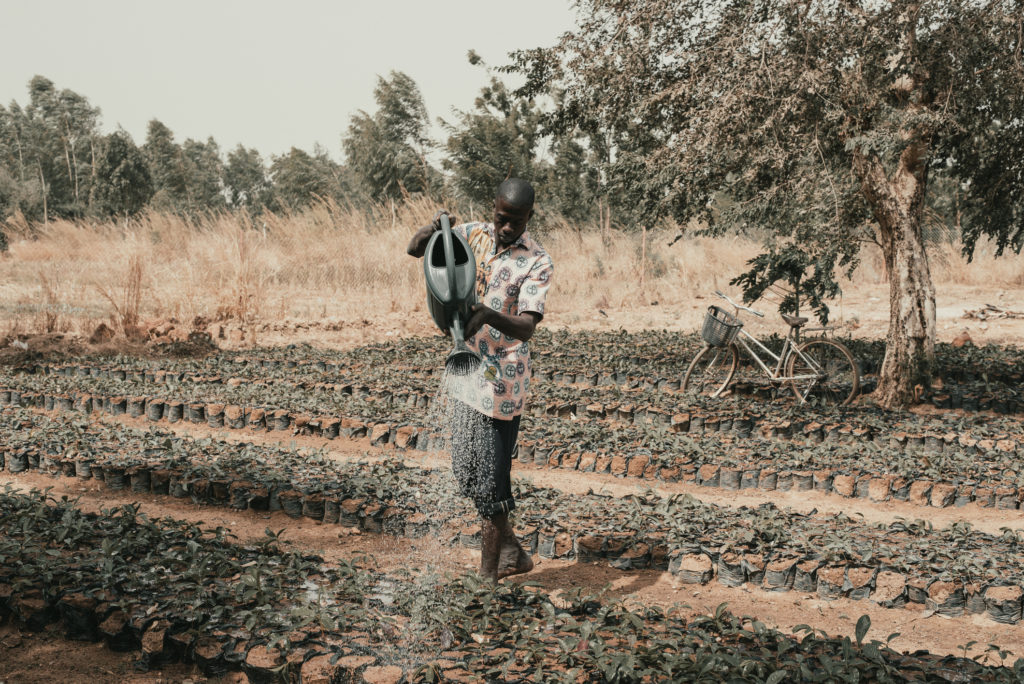 iStock 1282629773 - Humundi : Burkina faso