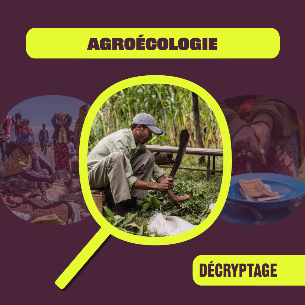 Decryptage agroecologie RS2 - Humundi : L'agroécologie avec Humundi