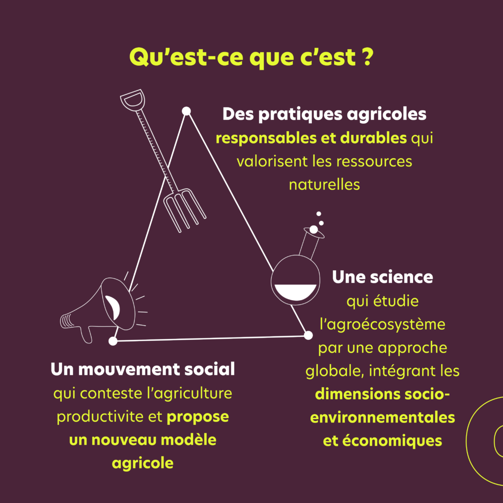 Decryptage agroecologie RS3 - Humundi : L'agroécologie avec Humundi