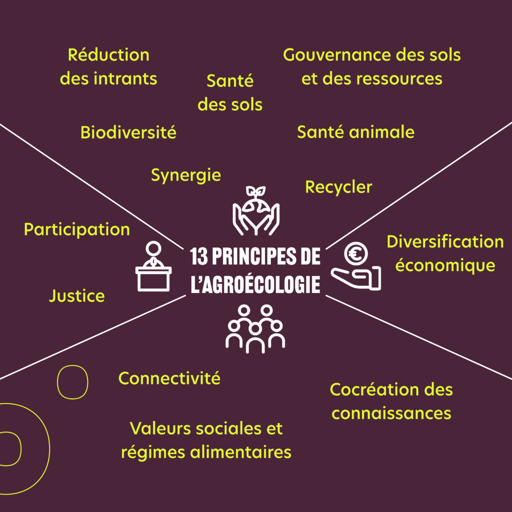 Decryptage agroecologie RS4 - Humundi : L'agroécologie avec Humundi