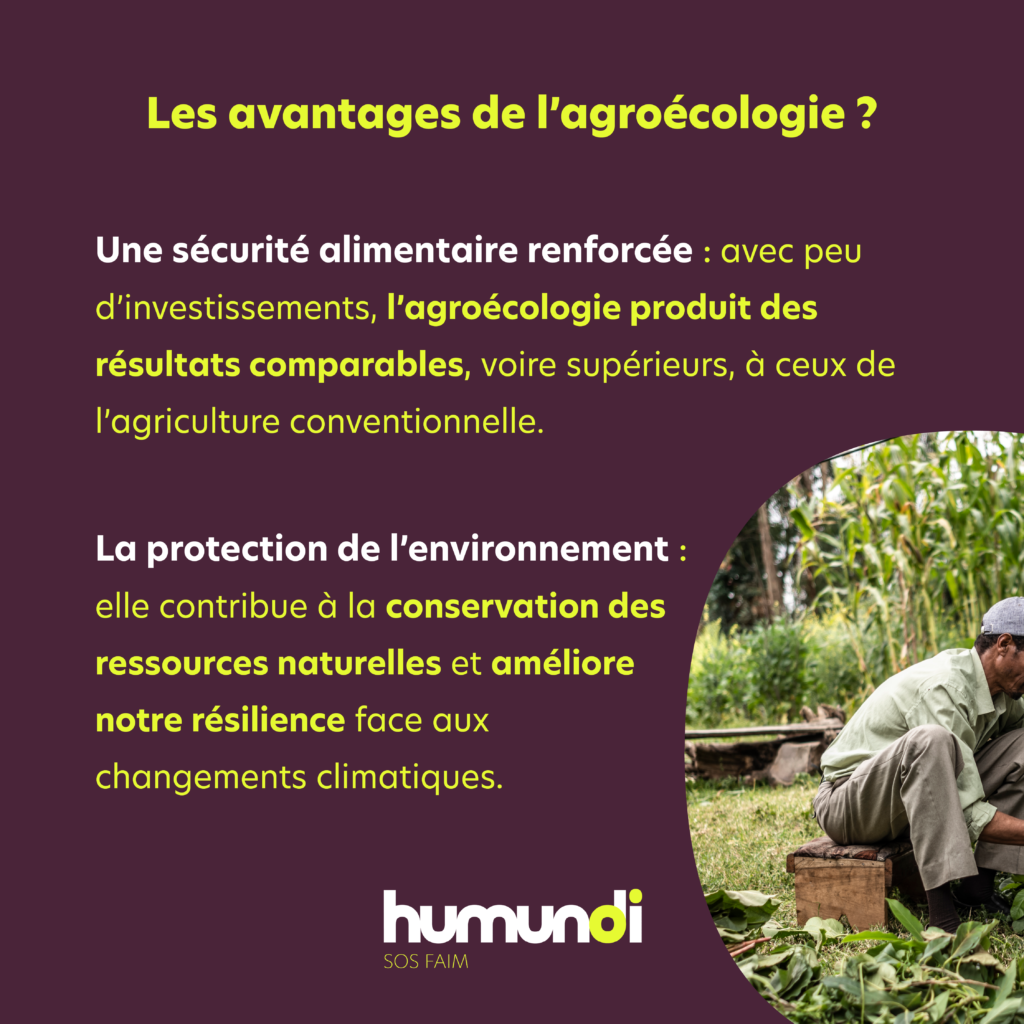 Decryptage agroecologie RS5 - Humundi : L'agroécologie avec Humundi