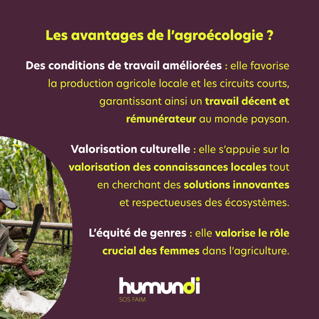 Decryptage agroecologie RS6 - Humundi : L'agroécologie avec Humundi