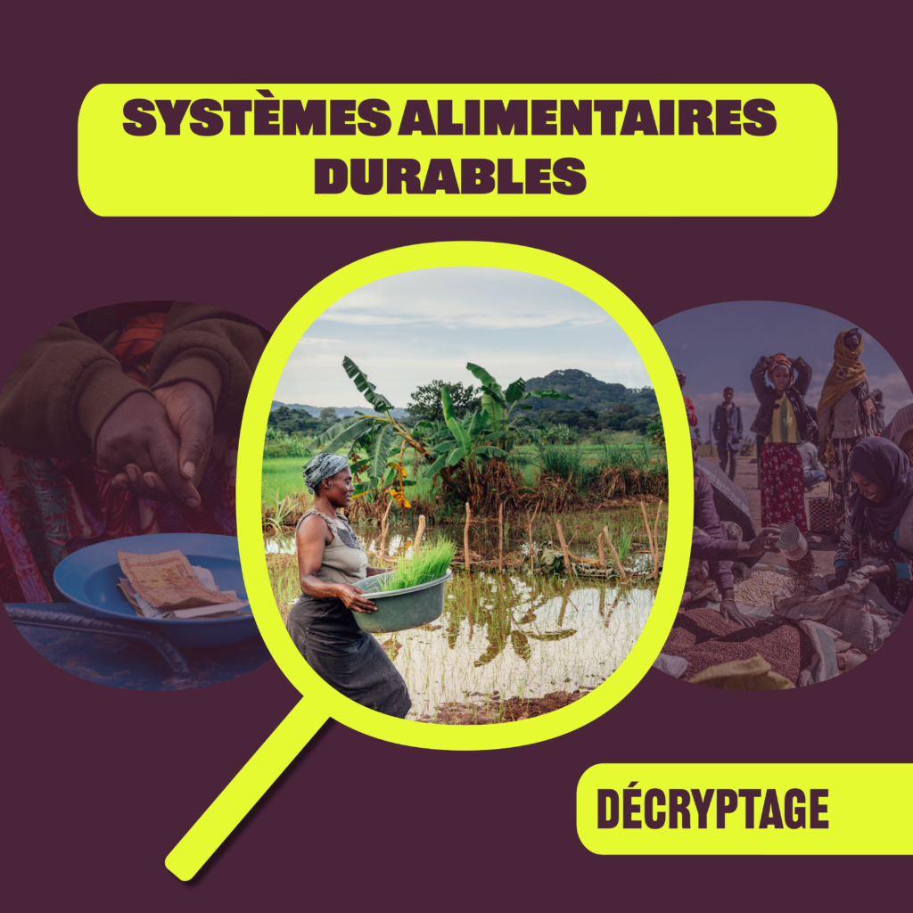 Decryptage SAD - Humundi : Systèmes alimentaires durables avec Humundi