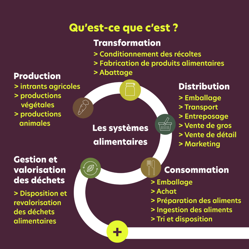 Decryptage SAD3 - Humundi : Systèmes alimentaires durables avec Humundi