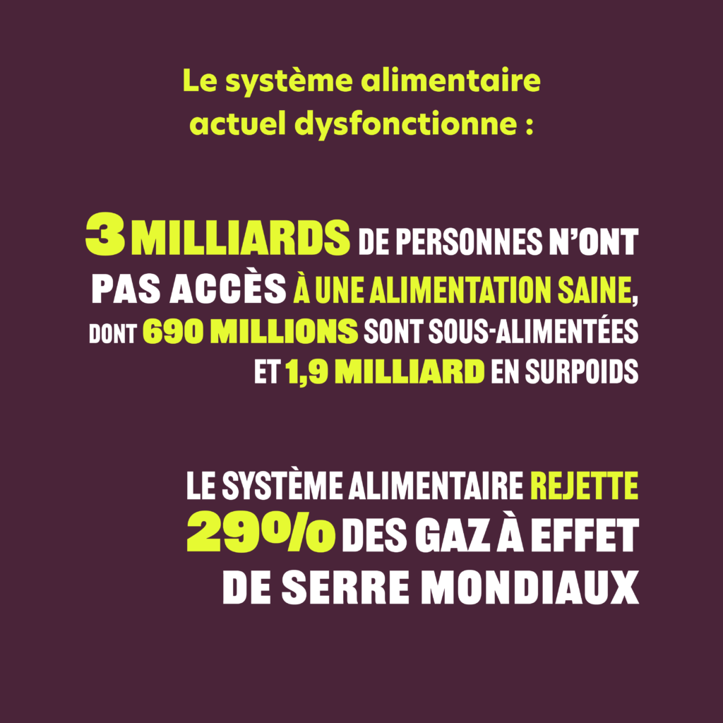 Decryptage SAD5 - Humundi : Systèmes alimentaires durables avec Humundi