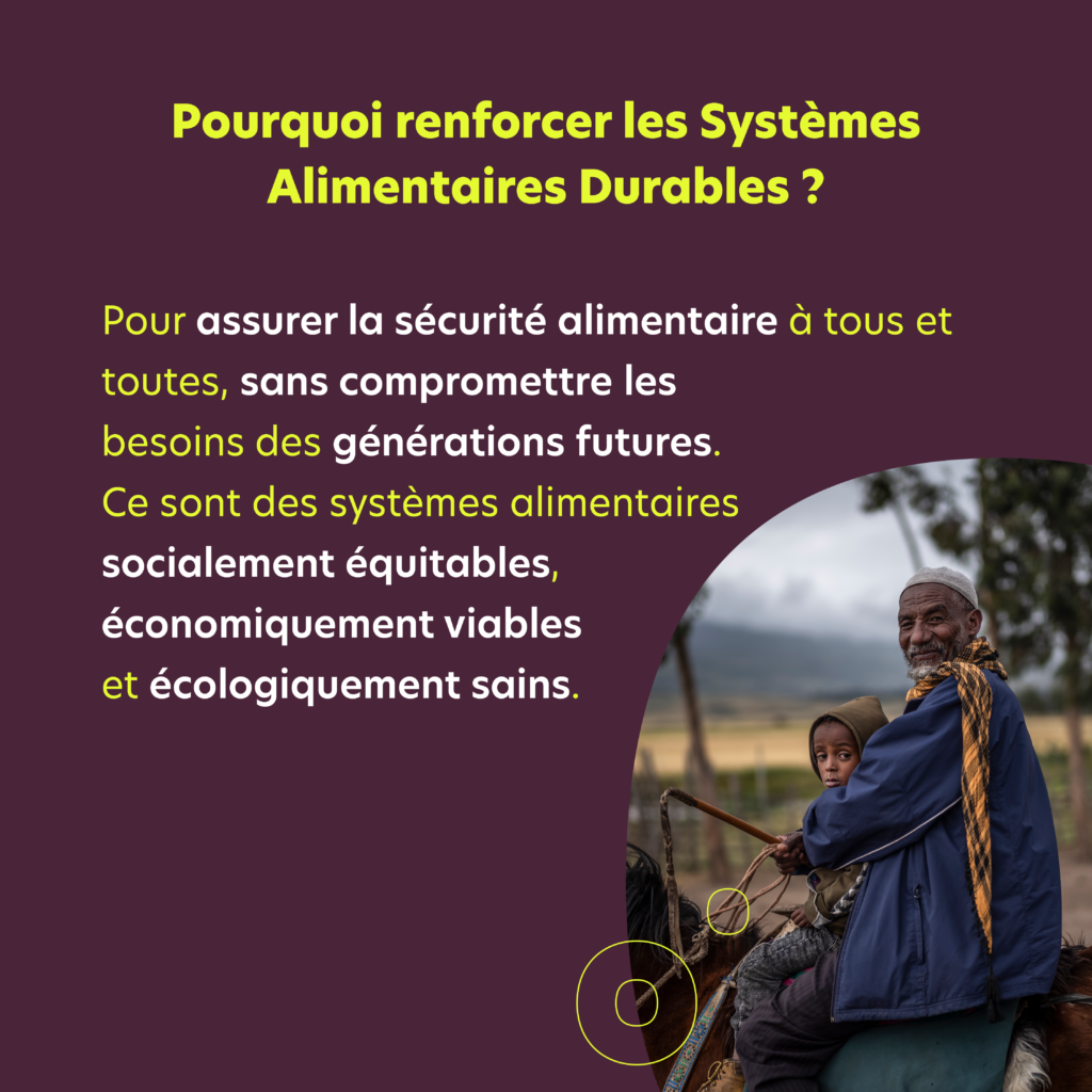 Decryptage SAD6 - Humundi : Systèmes alimentaires durables avec Humundi