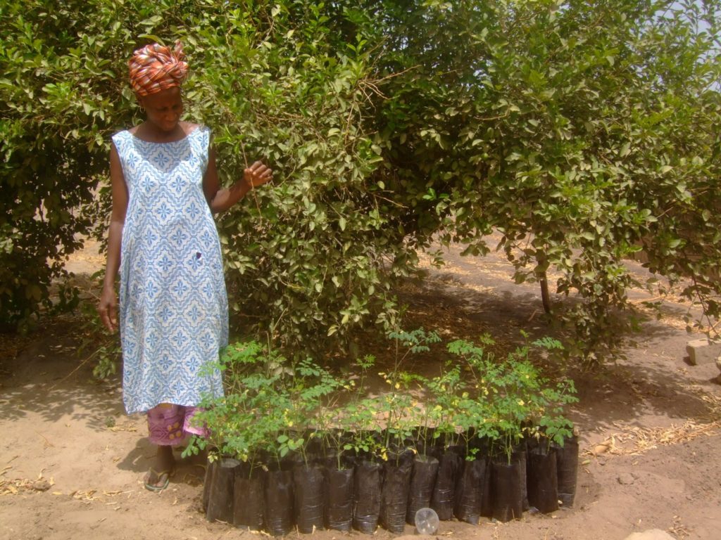 Initiative 4 - Humundi : 5 initiatives pour rêver le système alimentaire idéal