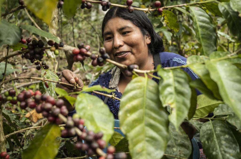 Bolivie projet biodiversite - : Préserver la biodiversité grâce à l’agroécologie : nos projets durables